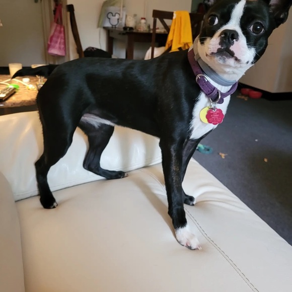 Meet your Posher, Jacque - Picture 5 of 5